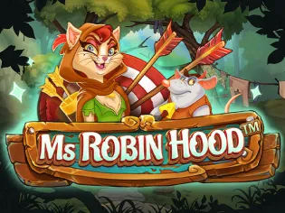 Ms Robin Hood screenshot