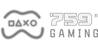 Provider 40 logo